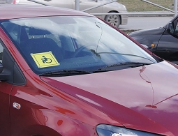 В России утвердили новые правила выдачи автомобильного знака «Инвалид»