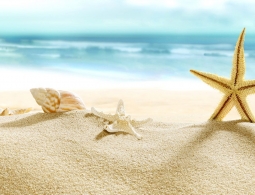 Синтетический песок поможет с очисткой сточных вод