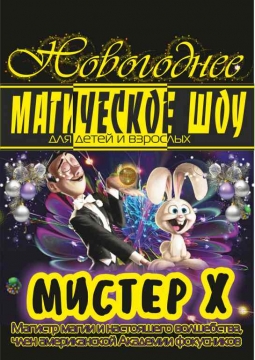 Новогоднее Магическое шоу | Мистер Х