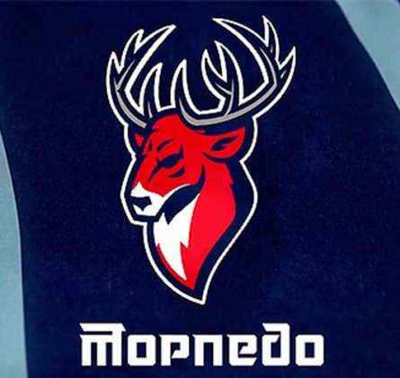 ХК Торпедо Нижний Новгород | домашние игры КХЛ