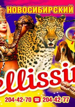 Белиссимо | Цирк