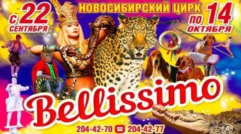 Белиссимо | Цирк