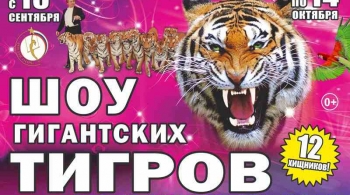 Тайна королевских тигров | Цирк