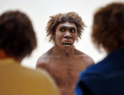 Свой среди своих: стало известно, почему обезьяна превратилась в человека