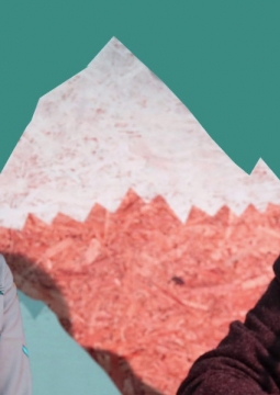 Письма мордобитны. Получите - распишитесь!