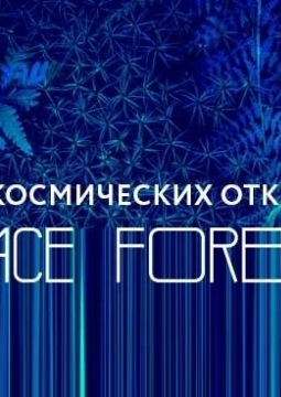 SPACE FOREST