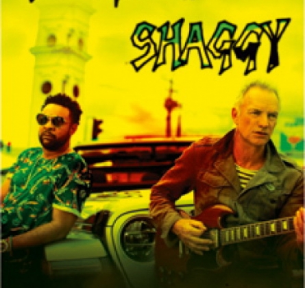 Sting & Shaggy