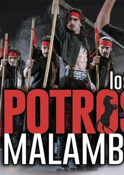 Los Potros Malambo