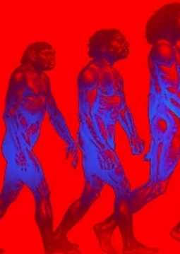 Ночь в театре