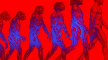 Ночь в театре