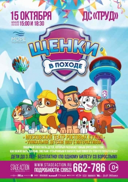 Щенки в походе