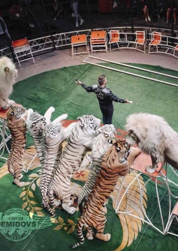 Цирк Демидовых