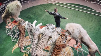 Цирк Демидовых