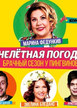 Нелетная погода, или Брачный сезон у пингвинов