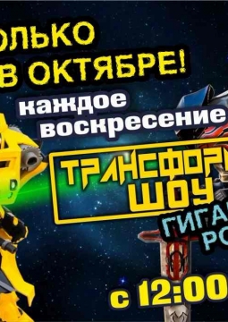 ТрансформерШоу | Шоу Роботов-Трансформеров