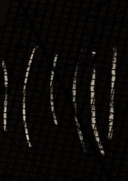 Ансамбль KYMATIC