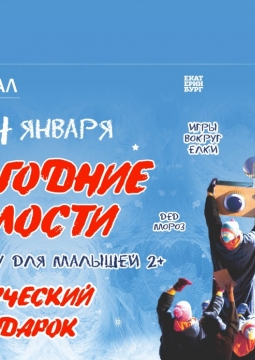 Новогодние шалости