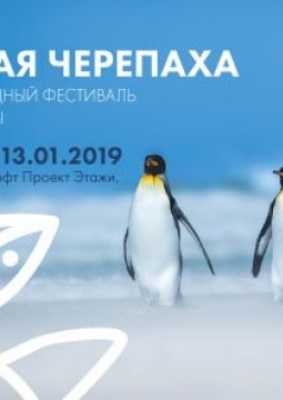 ЗОЛОТАЯ ЧЕРЕПАХА XII