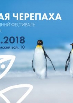 ЗОЛОТАЯ ЧЕРЕПАХА XII