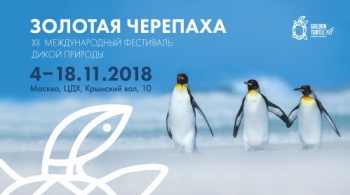 ЗОЛОТАЯ ЧЕРЕПАХА XII