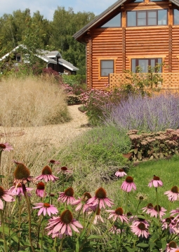 Злаки для различных условий | семинар