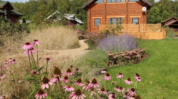 Злаки для различных условий | семинар