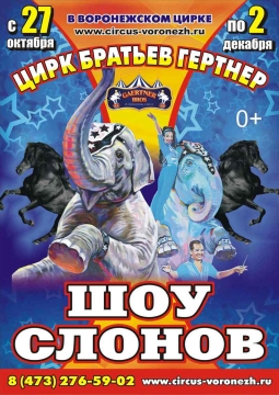 Планета слонов. Международное шоу | ЦИРК