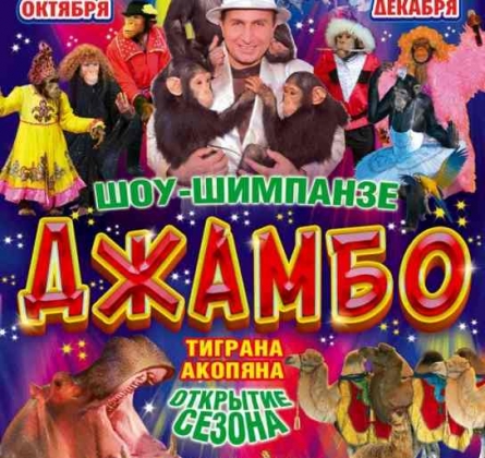 ДЖАМБО | Цирк