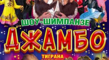 ДЖАМБО | Цирк