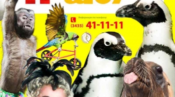 Цирк | ПингВин