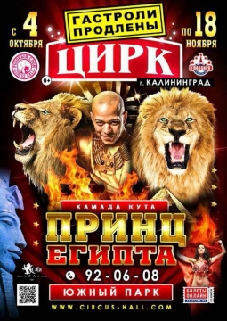 Цирк шапито | Розовый слон