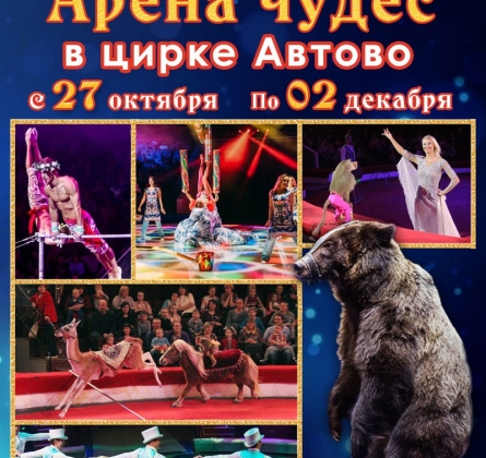 Арена чудес