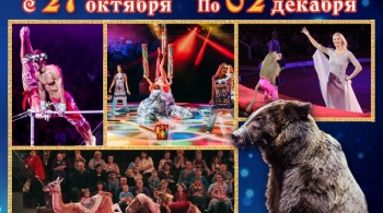 Арена чудес