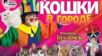 Кошки в городе | Владимир Куклачёв