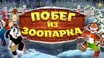 Побег из зоопарка