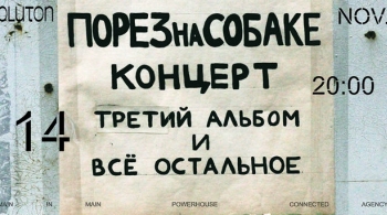 Порез на собаке