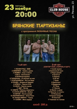 Брянские Партизаны