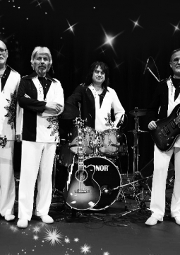 ВИА Добры молодцы