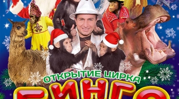 Бинго-Бонго | Цирк