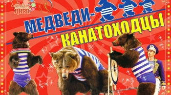 ЦИРК | Медведи - Канатоходцы