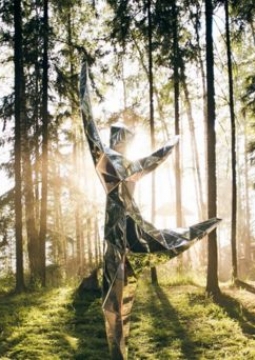 WAFEST | фестиваль