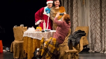 Новогодний гость