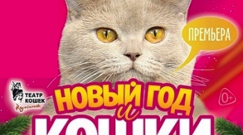 Новый год и кошки | В. Куклачёв