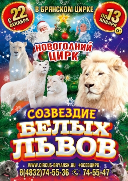 Цирк | Белые львы