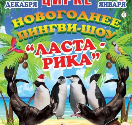 Цирк | Ласта-Рика