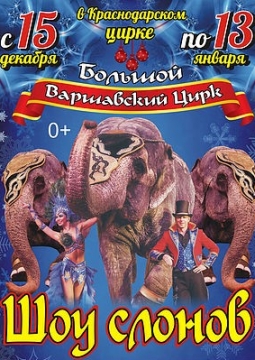 Шоу слонов | Большой Варшавский цирк