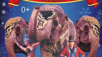 Шоу слонов | Большой Варшавский цирк