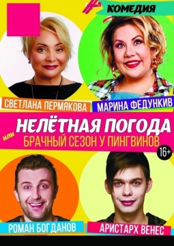 Нелетная погода, или Брачный сезон у пингвинов