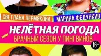 Нелетная погода, или Брачный сезон у пингвинов