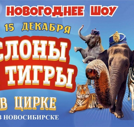 Итальянский ЦИРК «Togni»